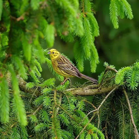 Casa de Férias In Jutland