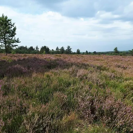 In Jutland Casa vacanze Hovborg