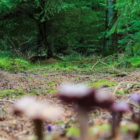 In Jutland Casa vacanze