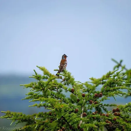 Casa de Férias In Jutland Hovborg