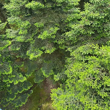 In Jutland * Hovborg